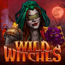 Wild_Witches_500x500.webp